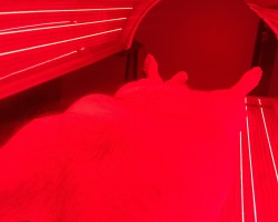 Swinger Hotwife Cuckold Kansas City - Busternviolet