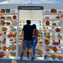 LittleBull: Swingers Hotwife Cuckold