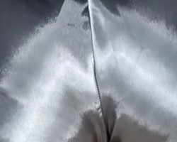 Swinger Hotwife Cuckold Pensacola-Panama City - Text831.401.7891