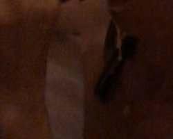 Swinger Hotwife Cuckold Sacramento - moandthaiho