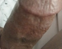  - Longhard699 Photo